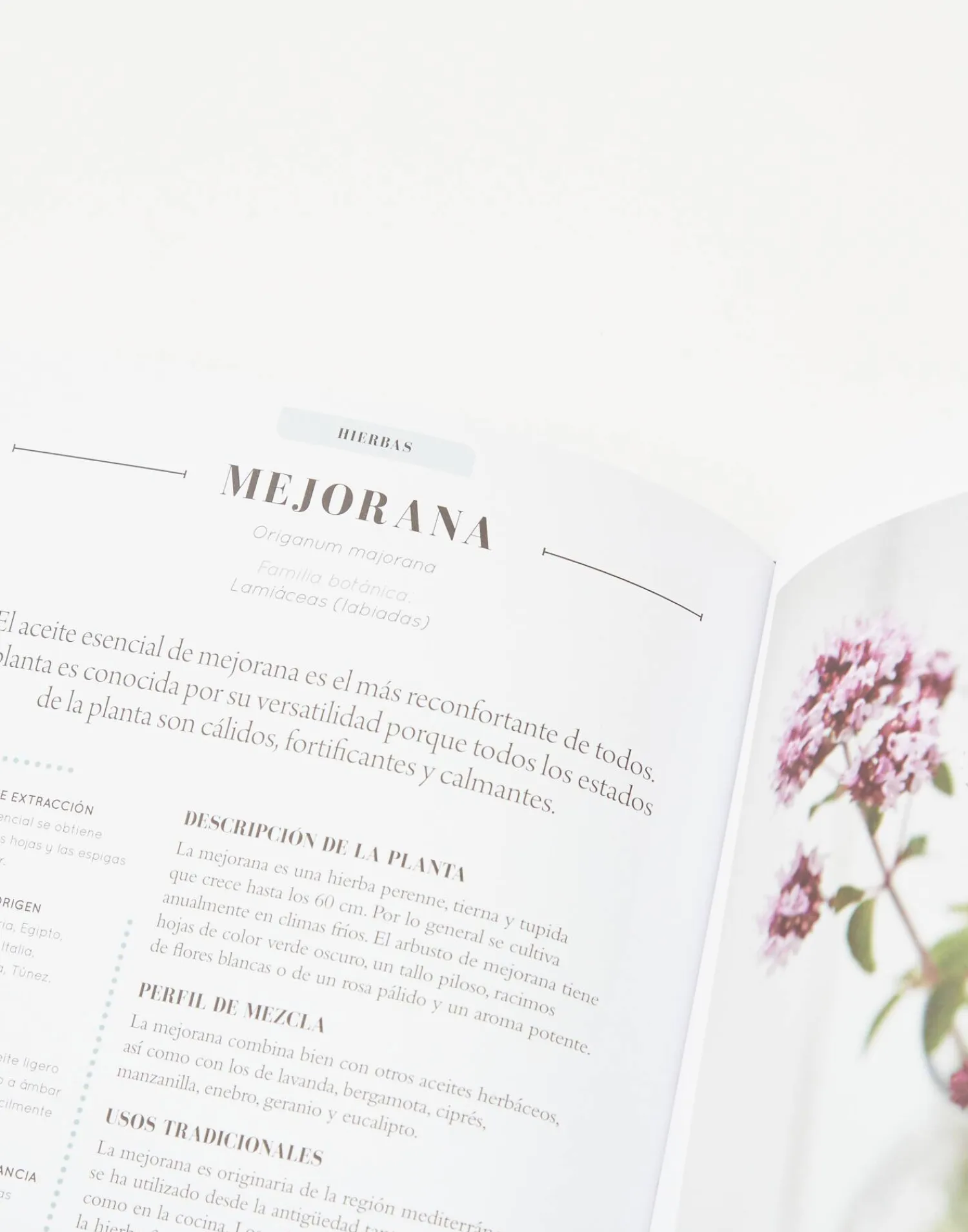 Natura Selection Aceites Esenciales Outlet