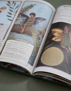 Natura Selection Historia Natural De Las Hadas Discount