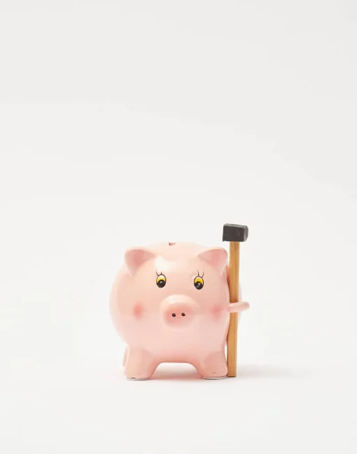 Natura Selection Hucha Cerdito Con Martillo