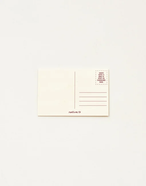 Natura Selection Postal Barcelona Bonita Madera Hot