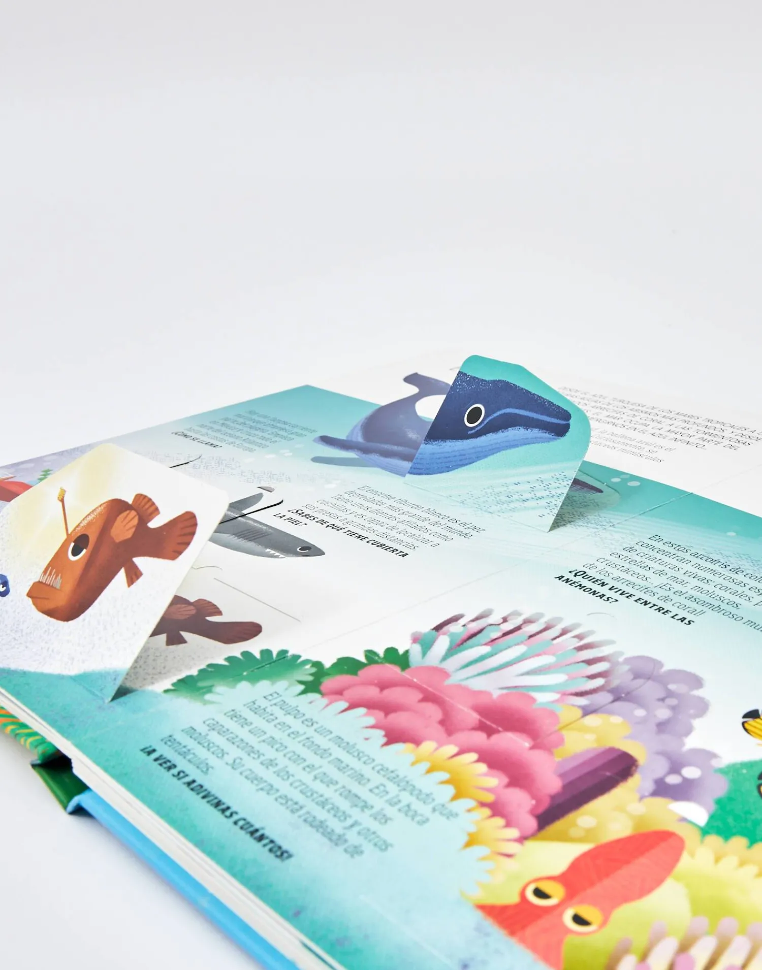 Natura Selection Viaja Y Descubre La Tierra Hot